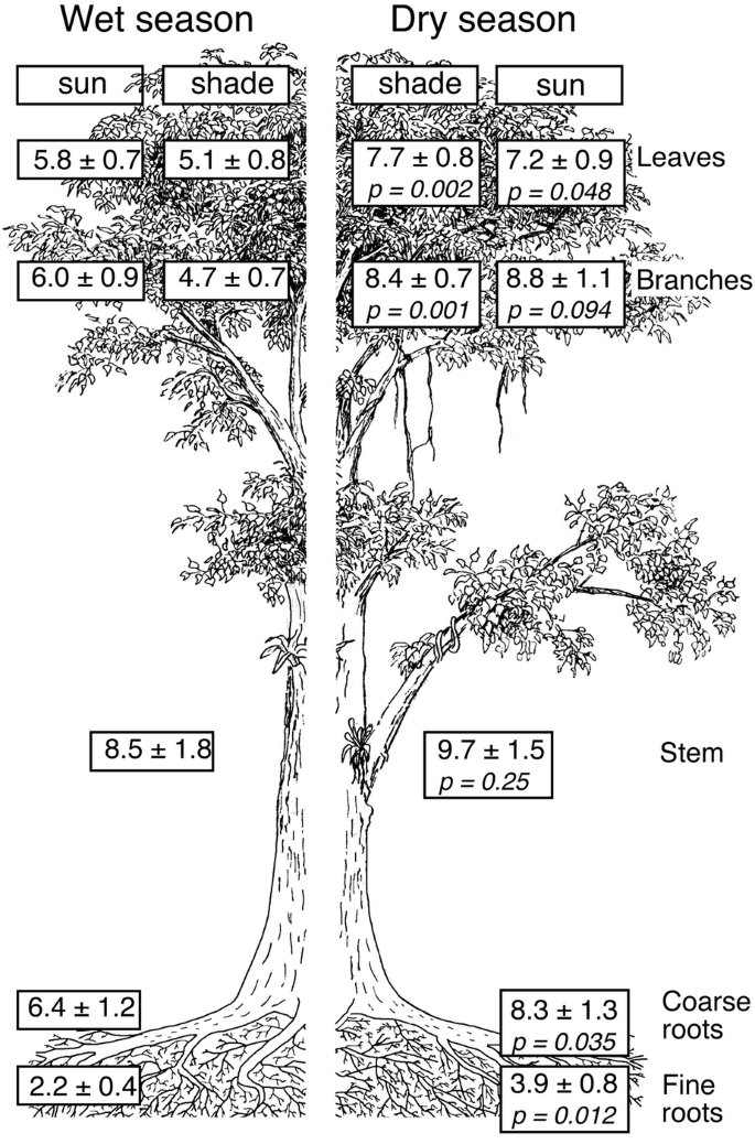 entdecken sie die faszinierende welt von berry und silicon prairie, wo natur und technologie auf harmonische weise zusammentreffen. tauchen sie ein in eine kreative oase, die innovation und ländliche schönheiten vereint.